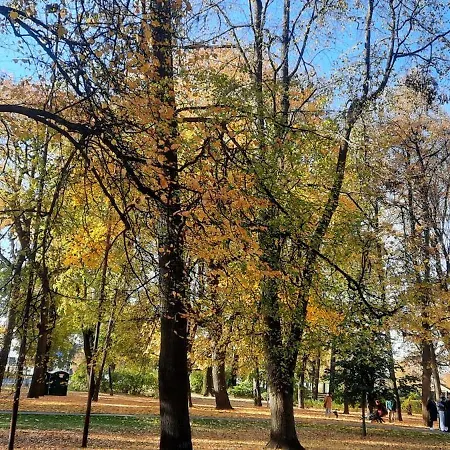 Eksporta 10, Lux 里加