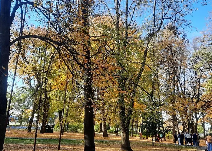 Eksporta 10, Lux Riga